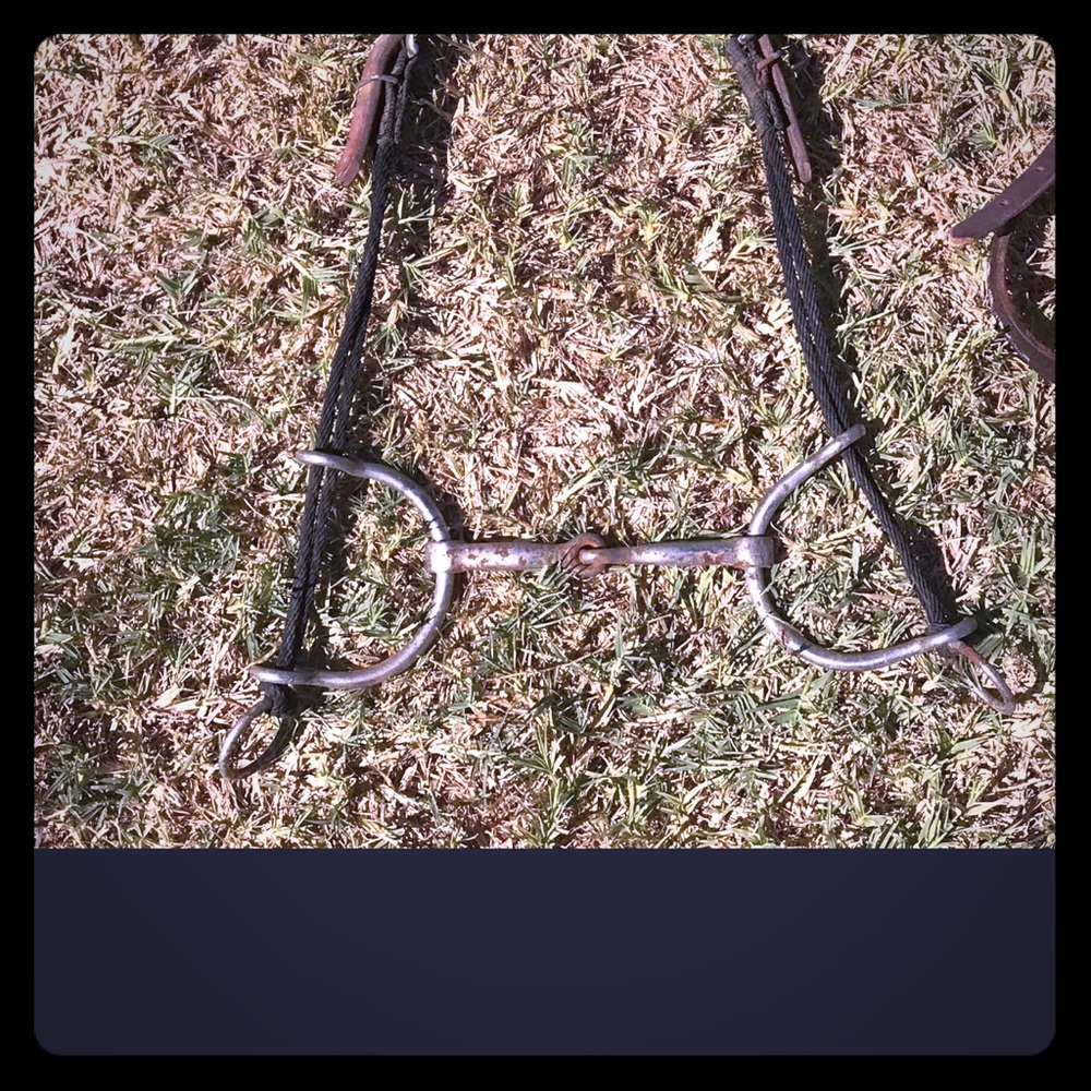 Draw Gag Snaffle Bit